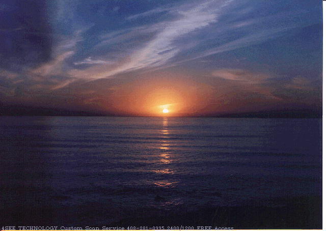 Nature Pic  838