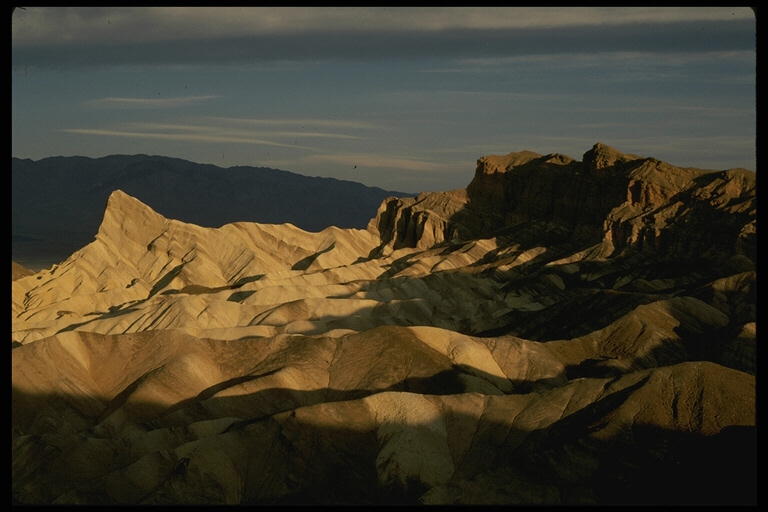 Nature Pic  842