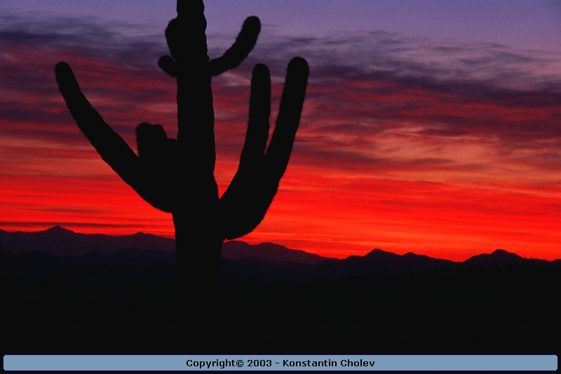 Nature Pic  850