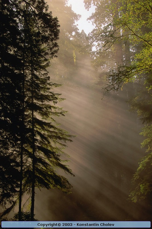 Nature Pic  851