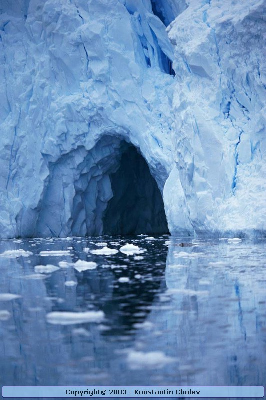 Nature Pic  855