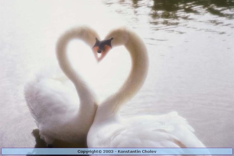 Nature Pic  856