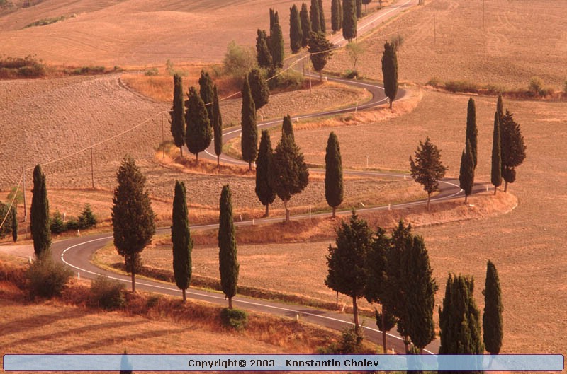 Nature Pic  870