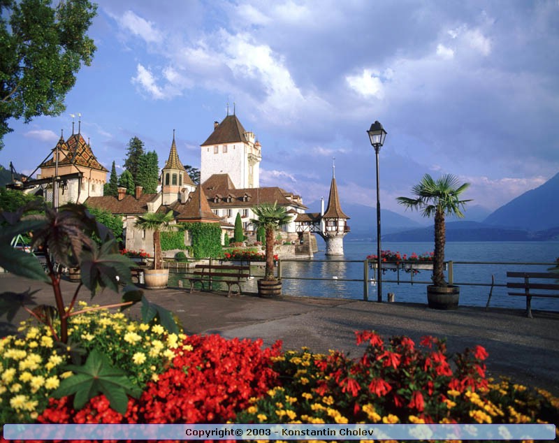 Nature Pic  872