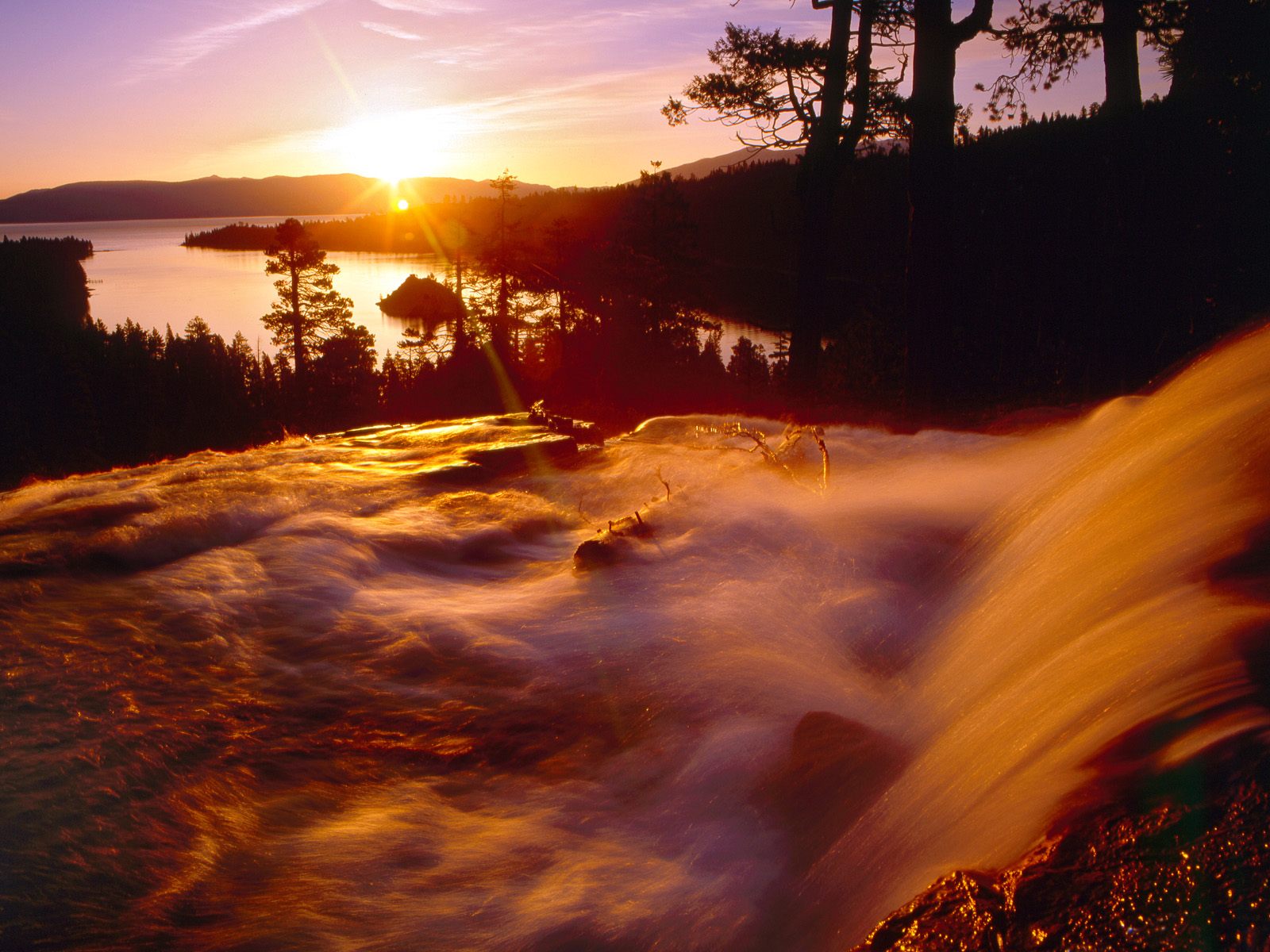Nature Pic  874