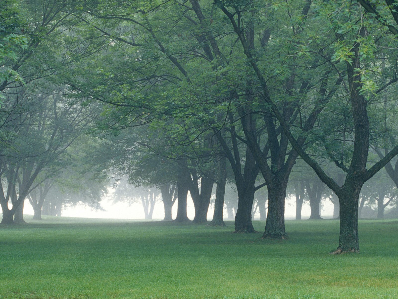 Nature Pic  876