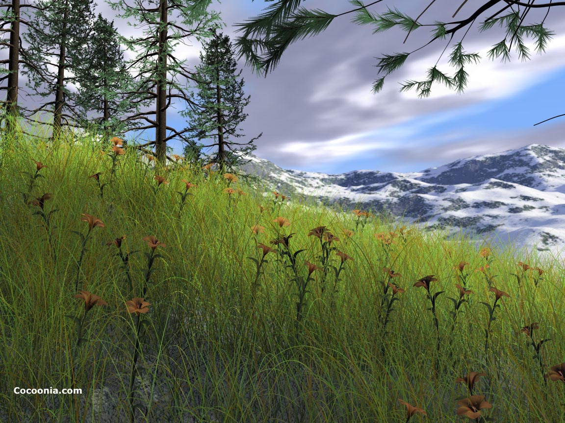 Nature Pic  879