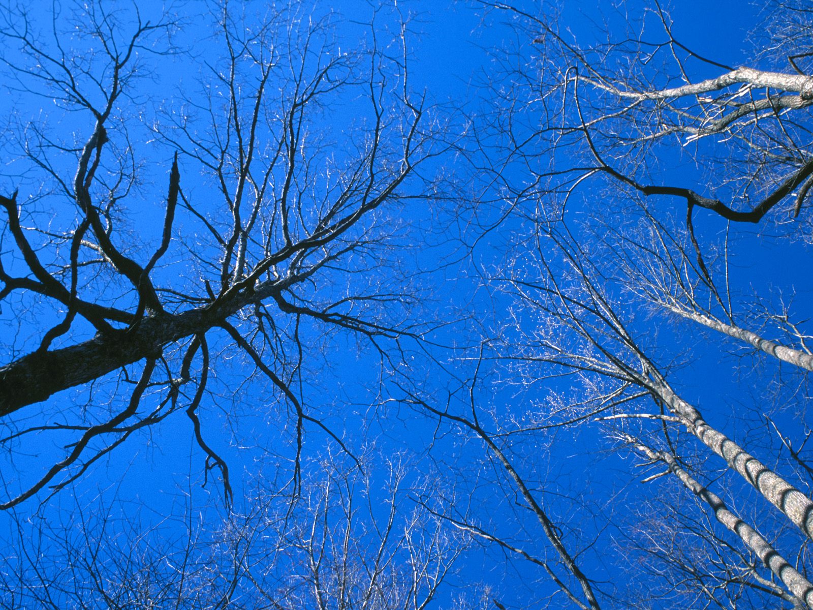 Nature Pic  880