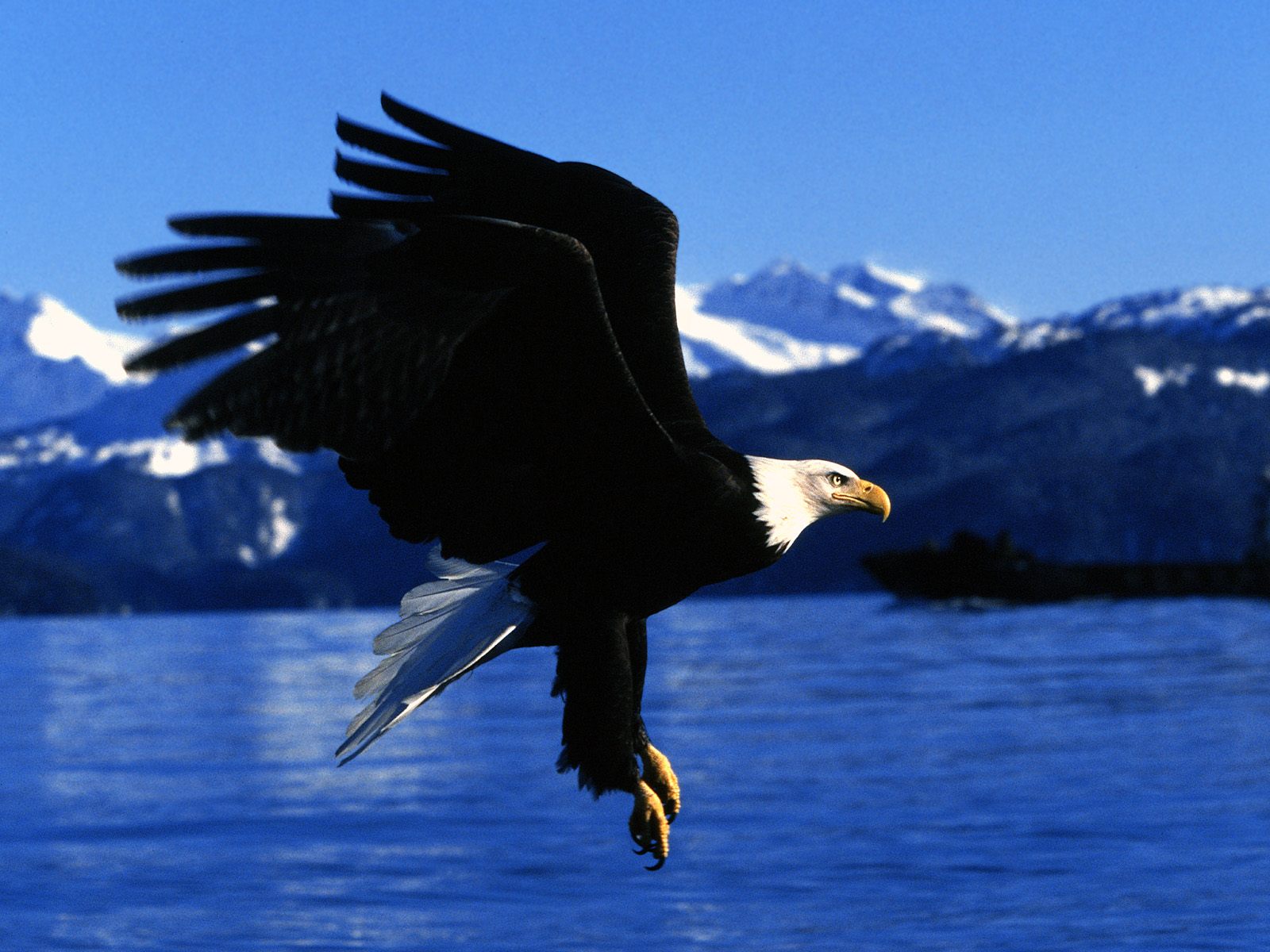 Nature Pic  883