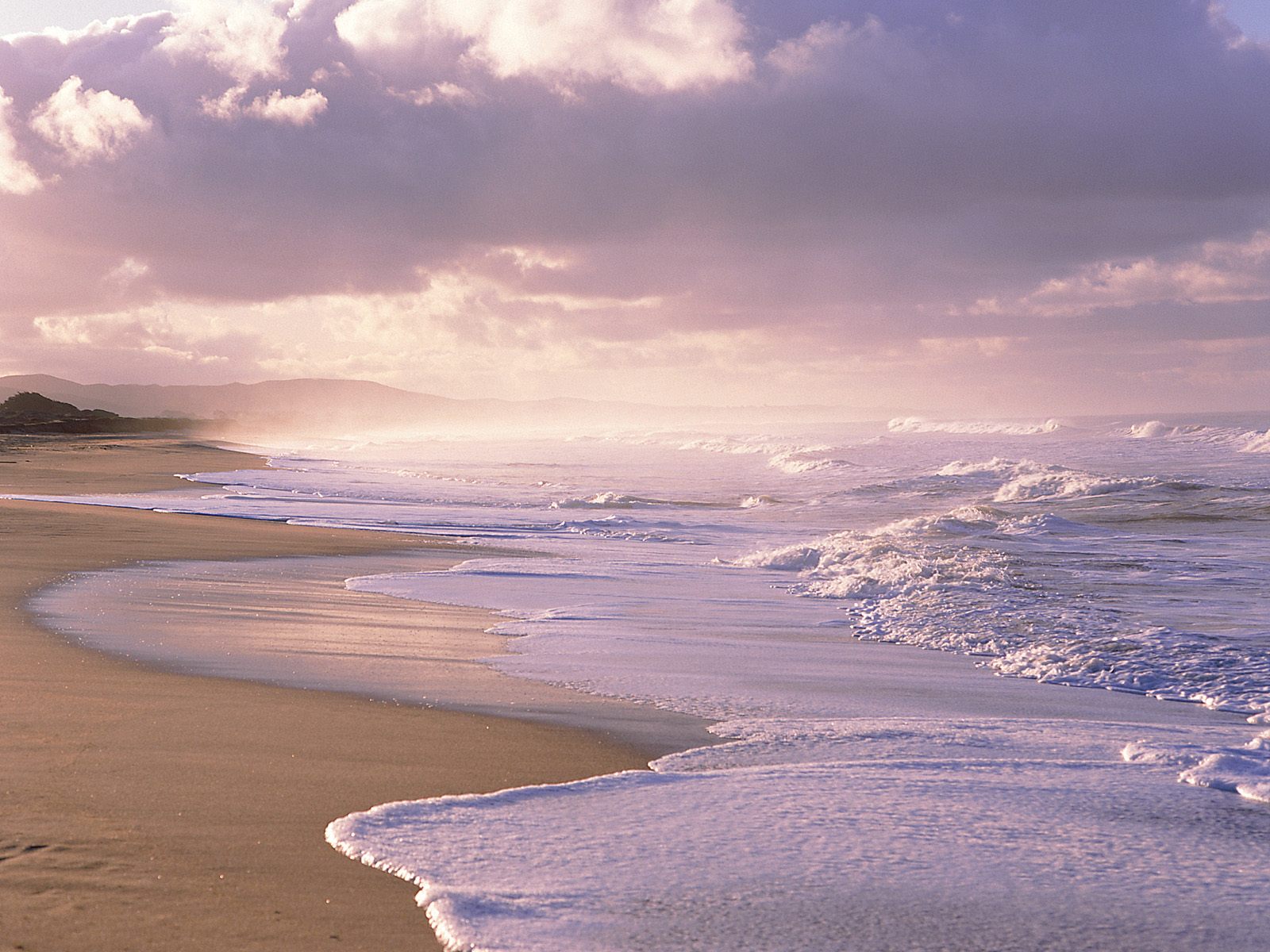 Nature Pic  885