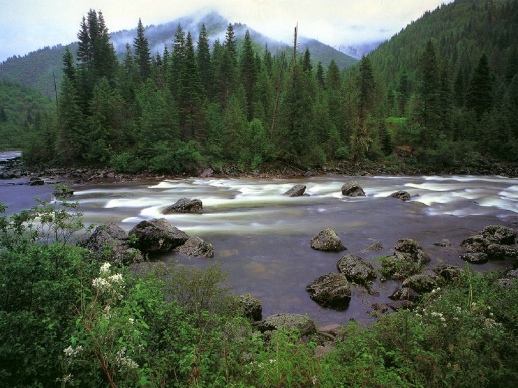 Nature Pic  887