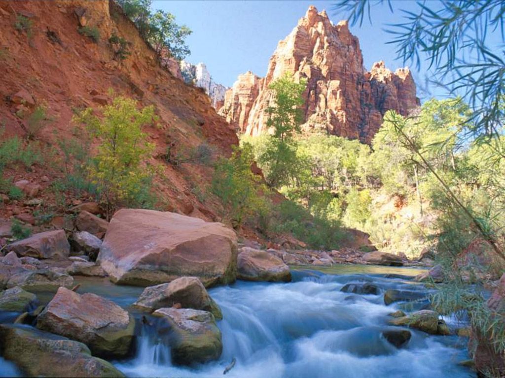 Nature Pic  889