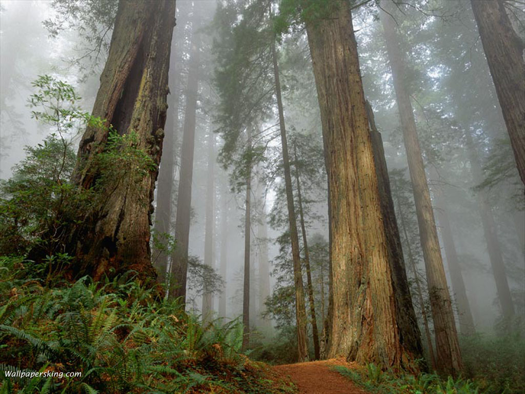 Nature Pic  9