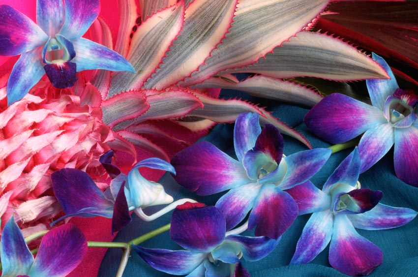 Nature Pic  902