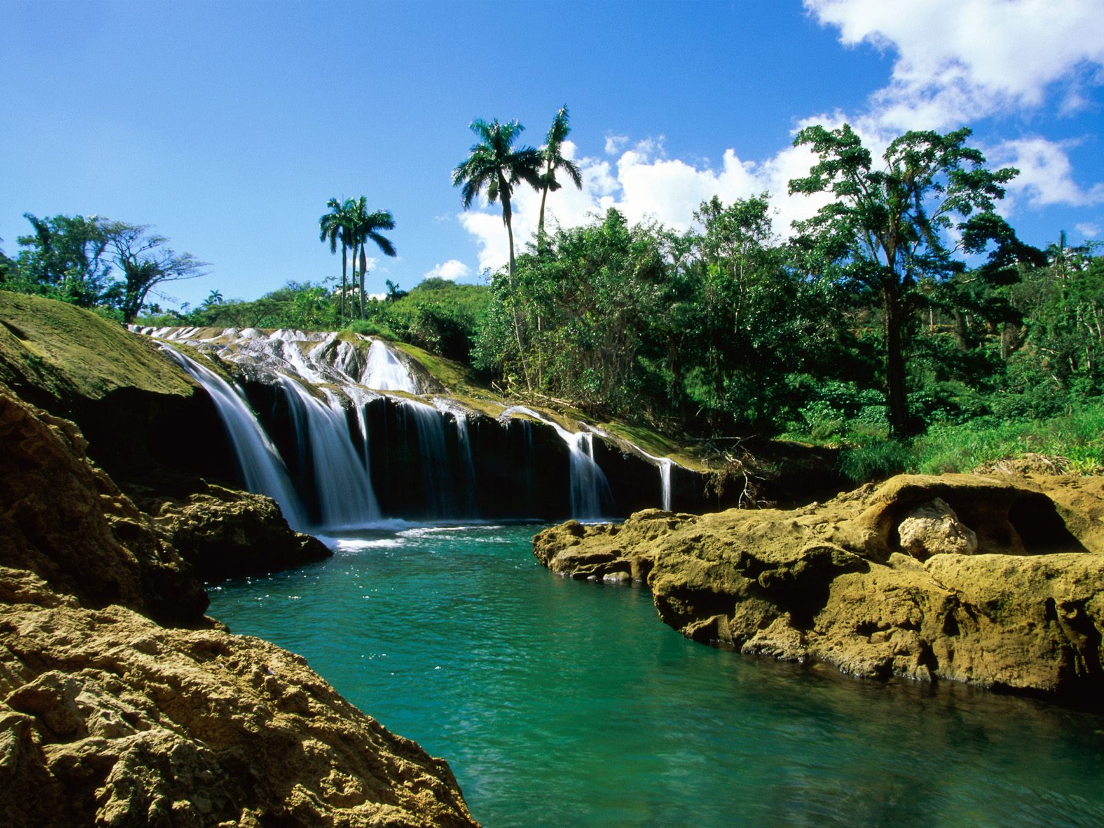 Nature Pic  917
