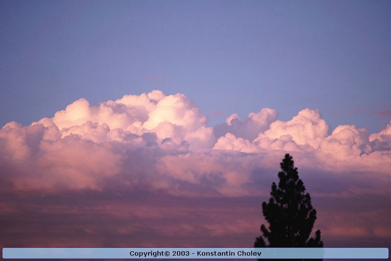 Nature Pic  930