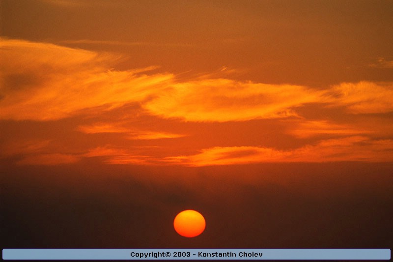Nature Pic  931