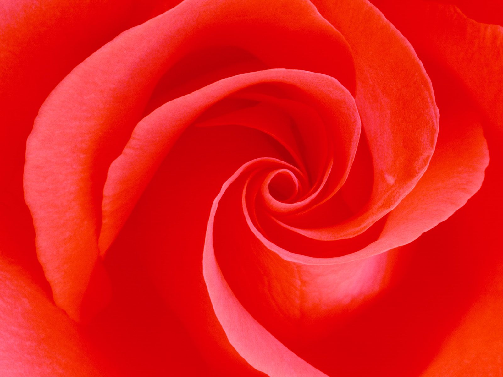 Nature Pic  934