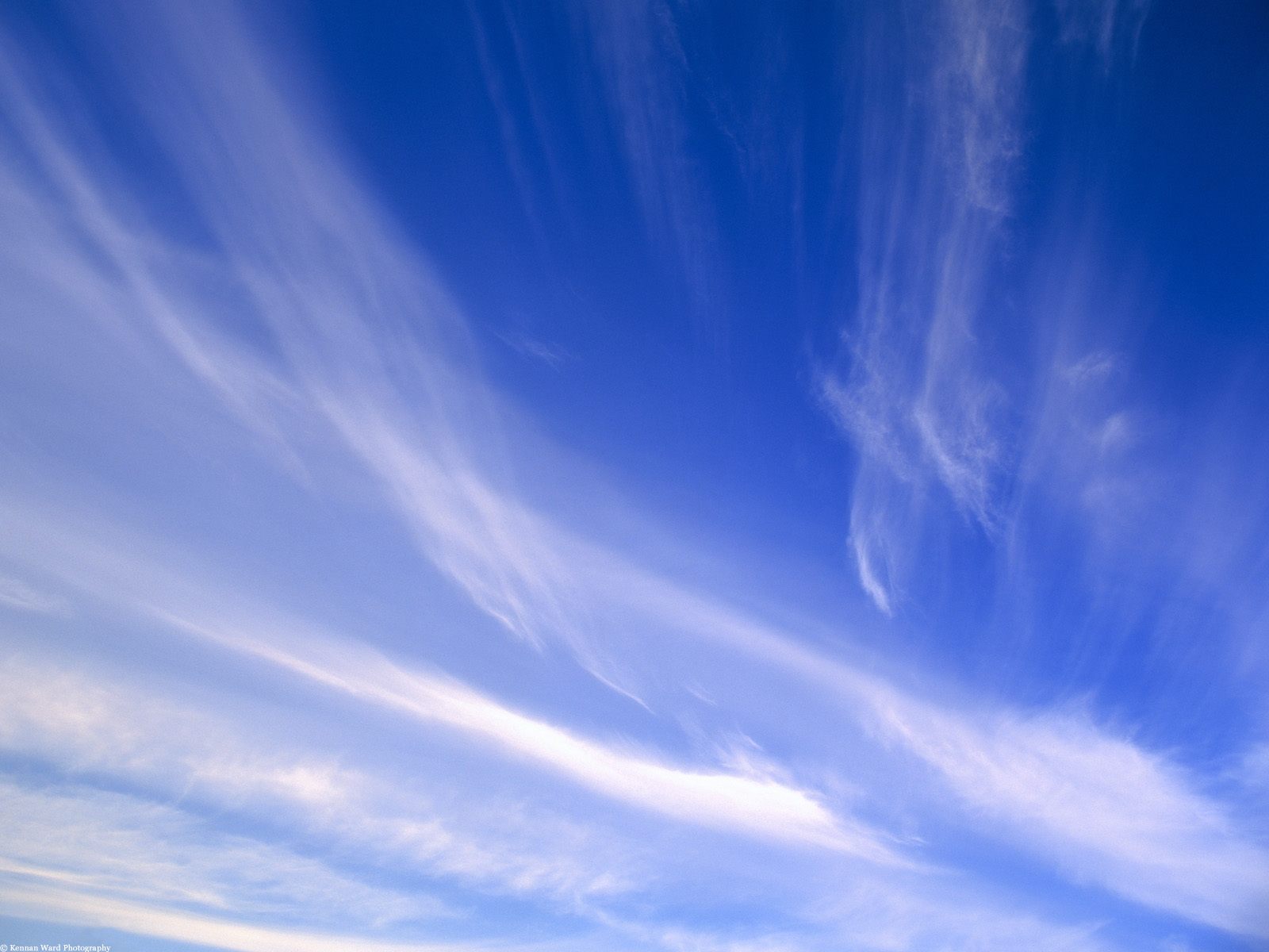 Nature Pic  935