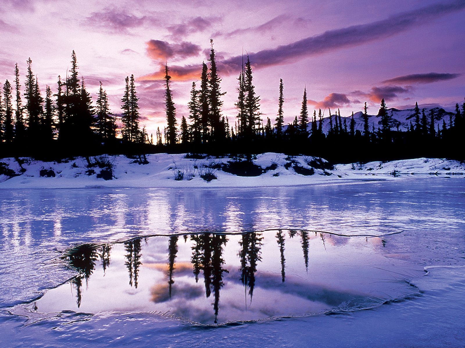 Nature Pic  938