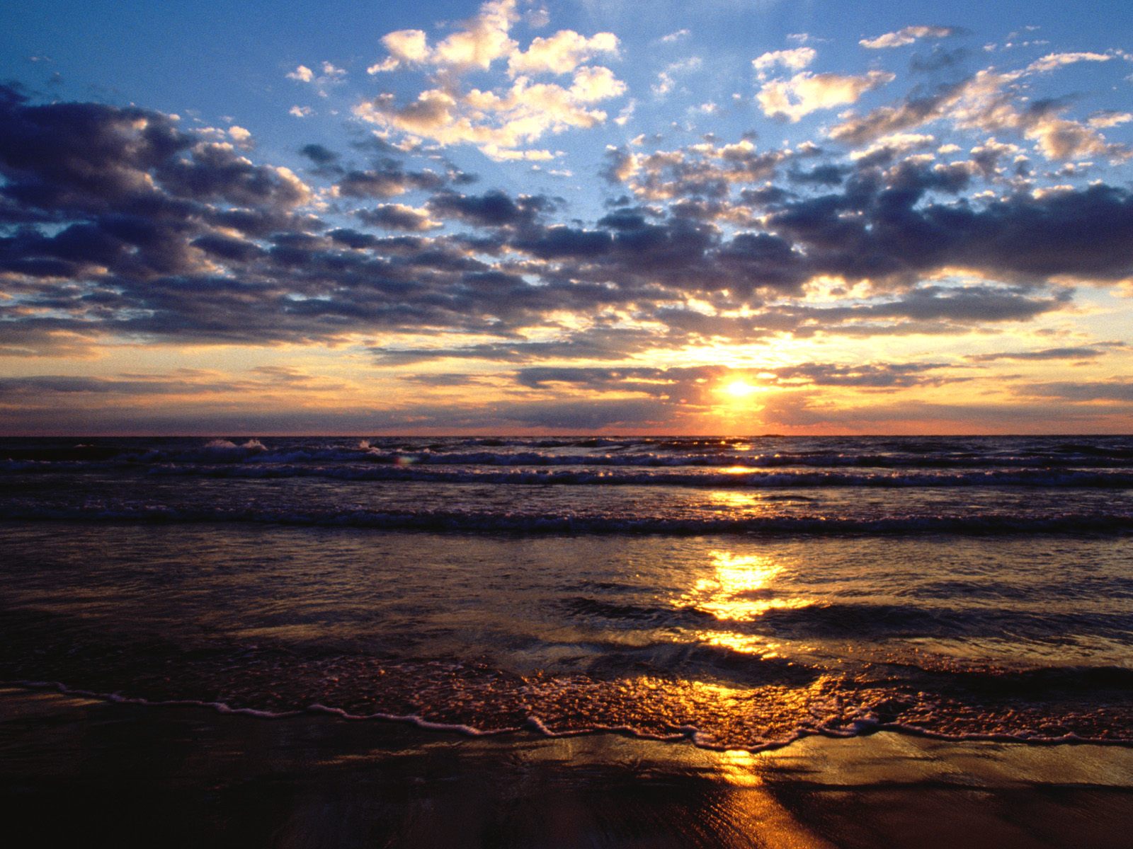 Nature Pic  939