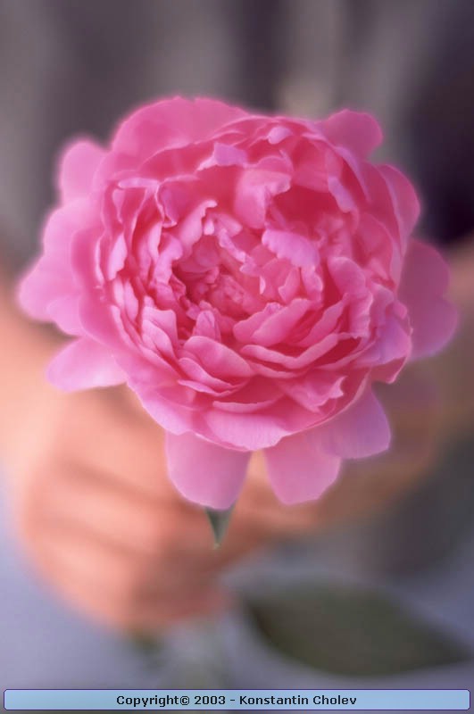 Nature Pic  947
