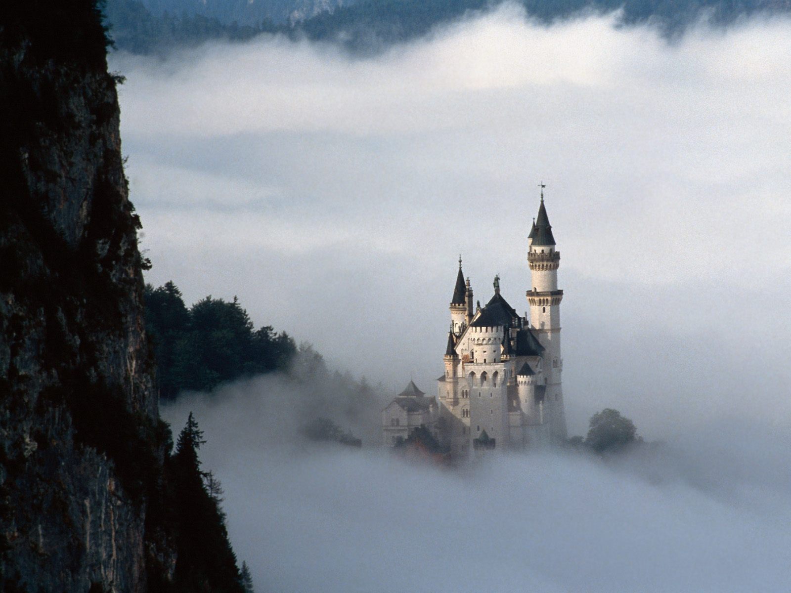 Nature Pic  955