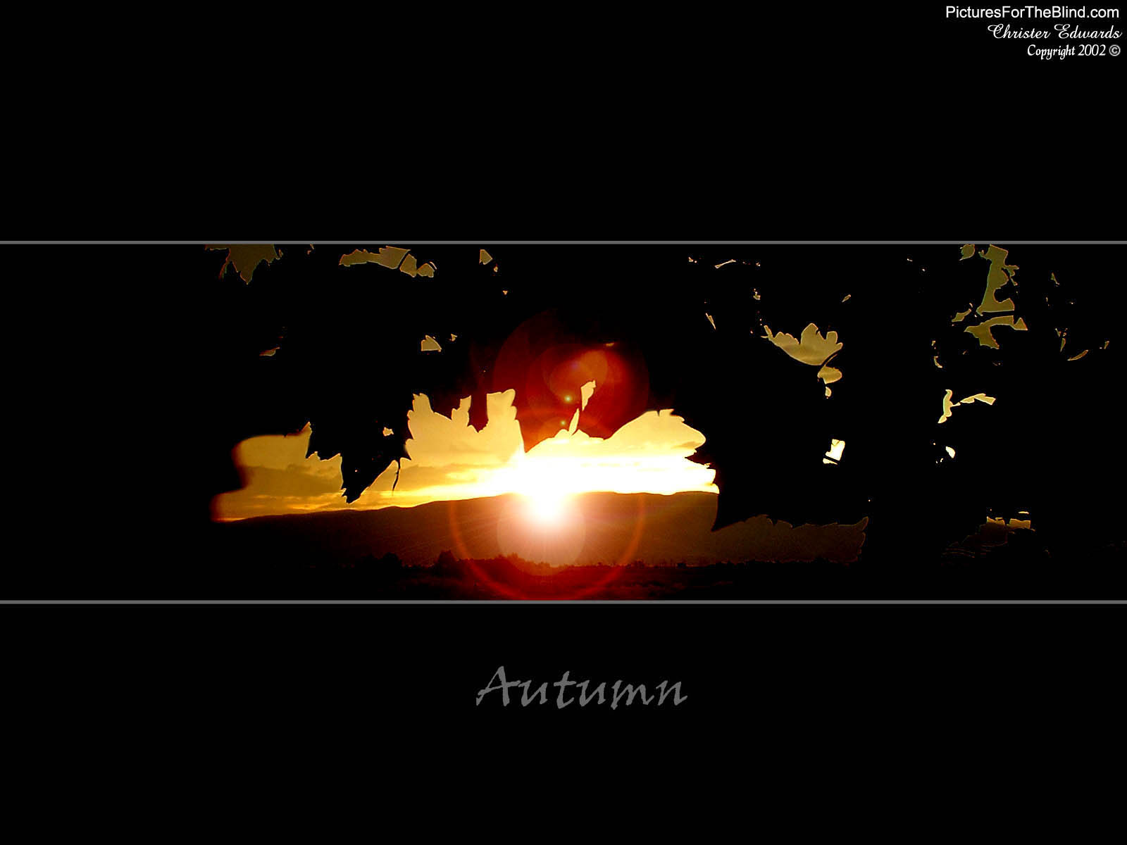 Nature Pic  957