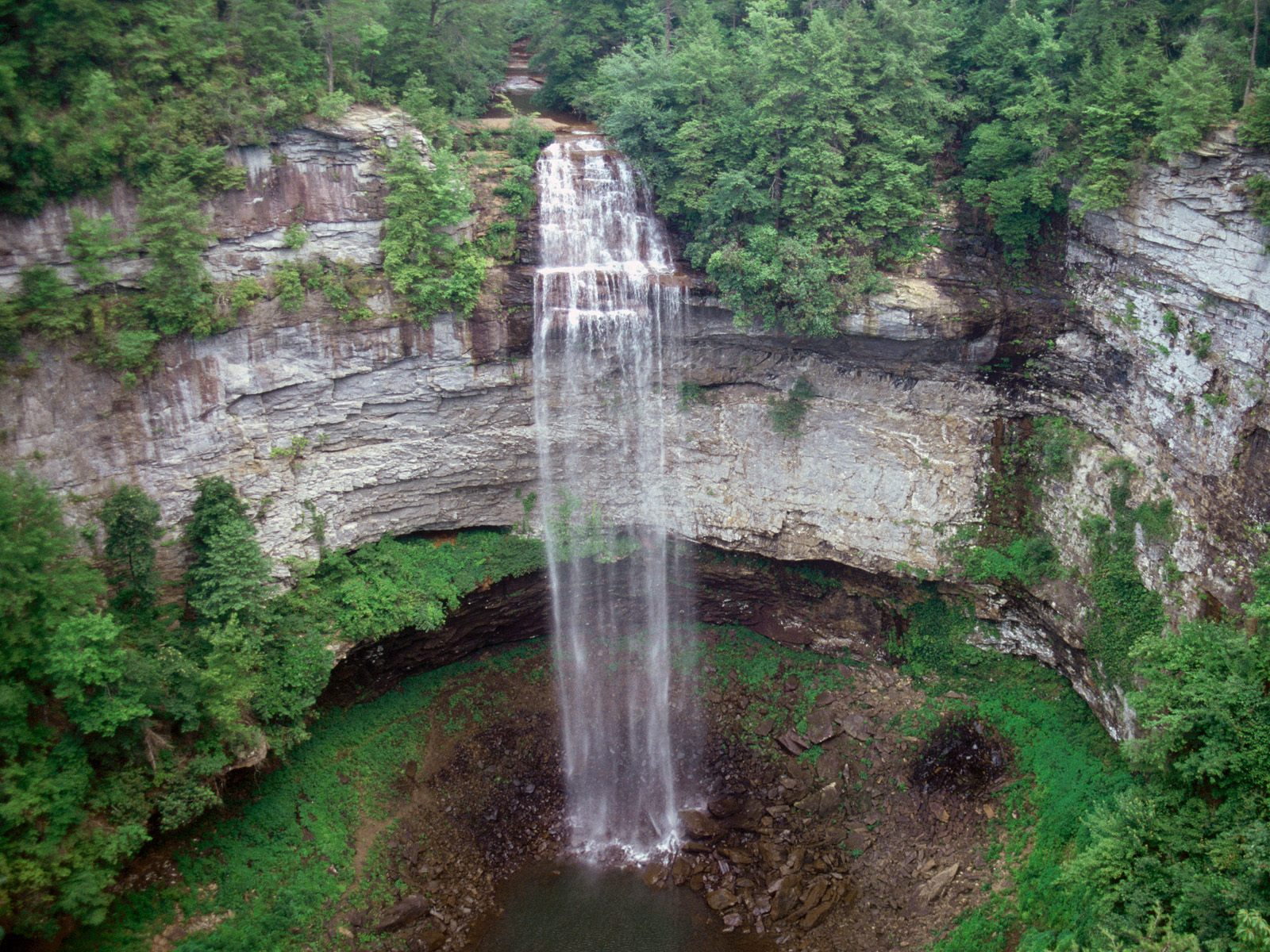 Nature Pic  959