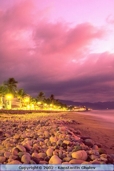 Nature Pic  96