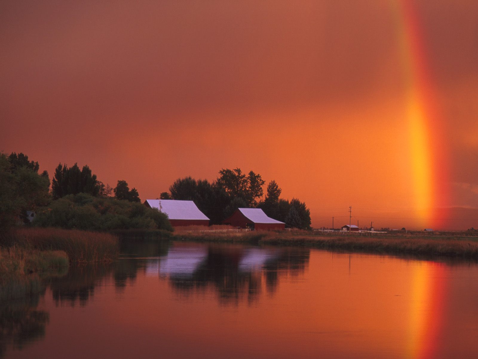 Nature Pic  962