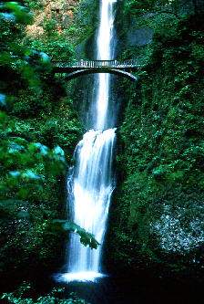 Nature Pic  966
