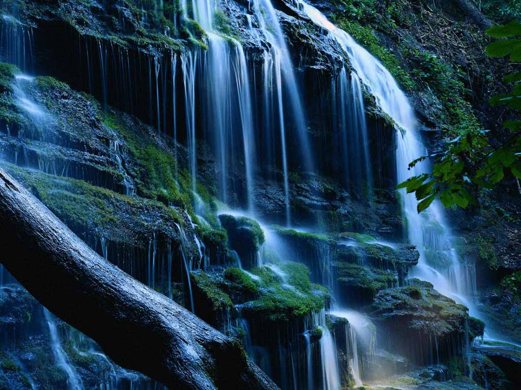 Nature Pic  968