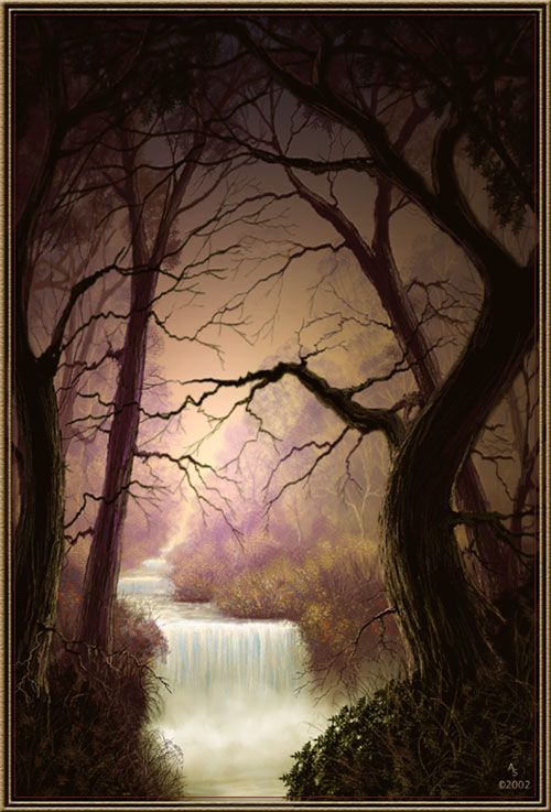 Nature Pic  969