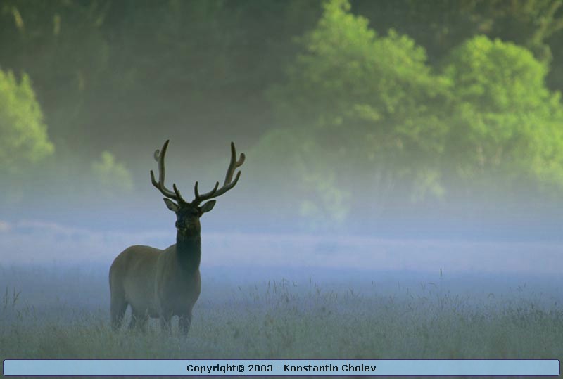 Nature Pic  97