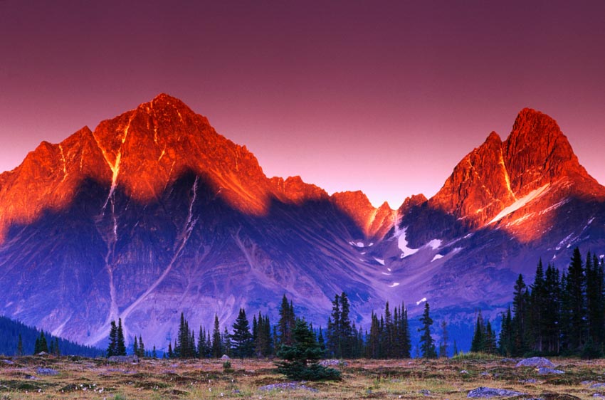 Nature Pic  98