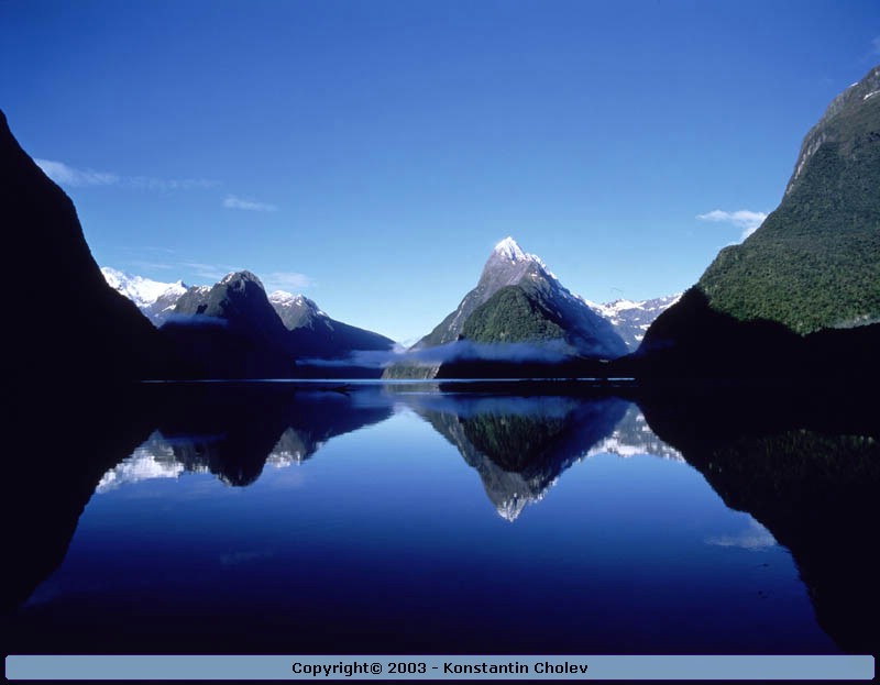 Nature Pic  981