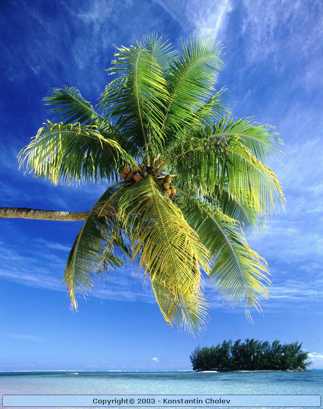 Nature Pic  983