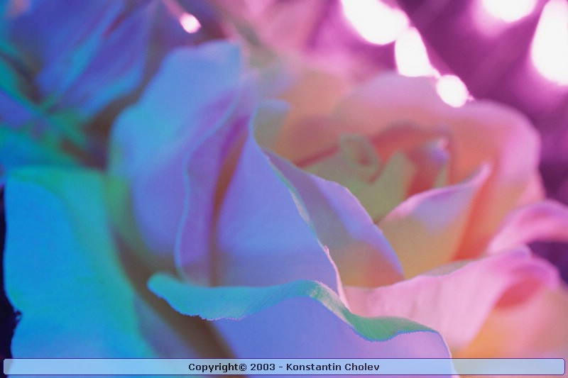 Nature Pic  992