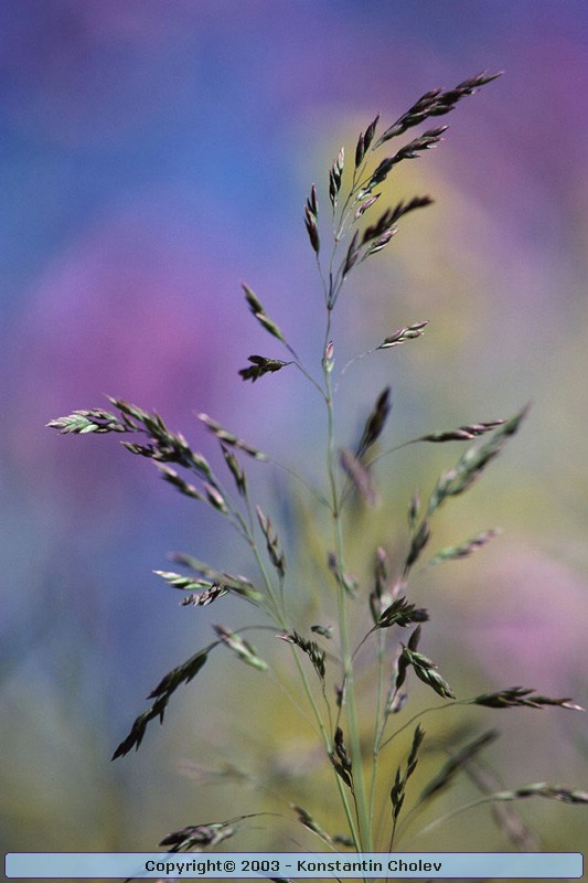 Nature Pic  999