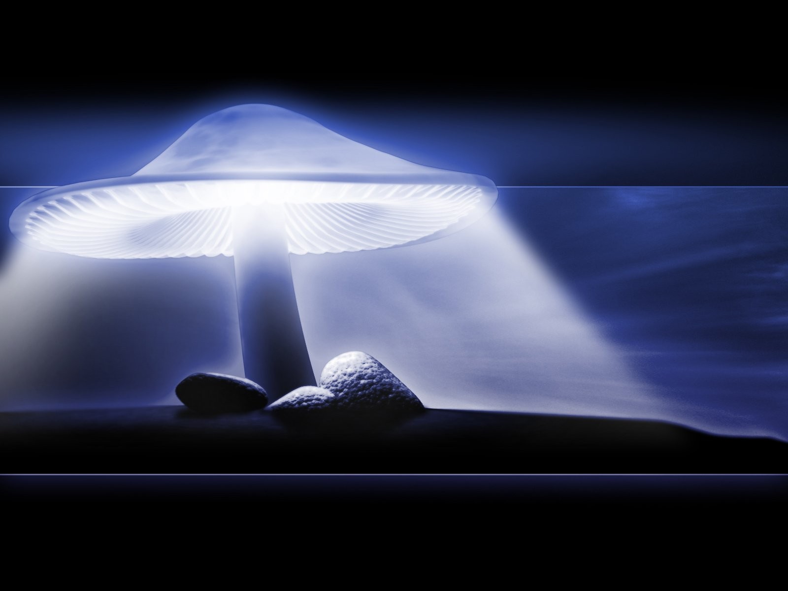 Neon Mushroom