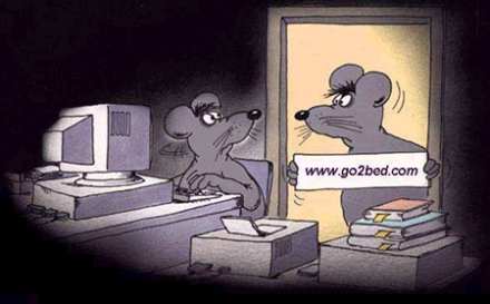 New Domain