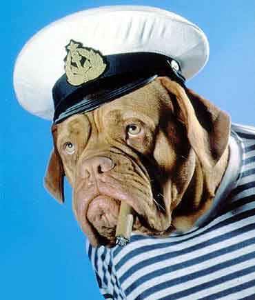 Old Seaman