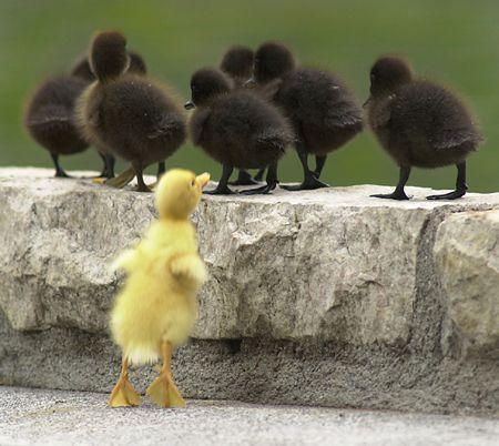 Outcast