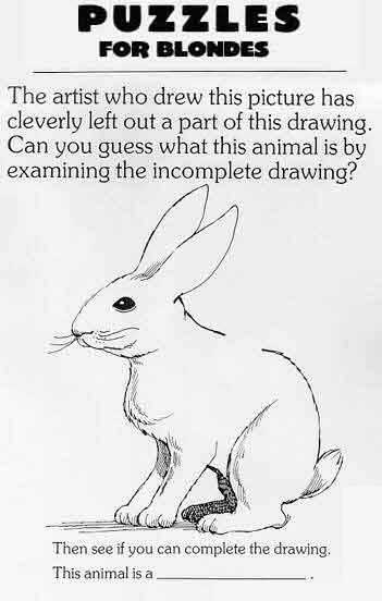 Puzzle For Blondes