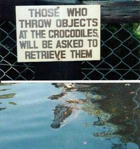 Retrieve Objects
