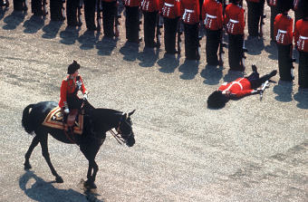 Royal Parade