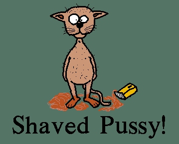 Shaved Pussy