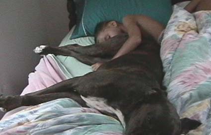 Sleeping With The Animal
