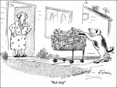 Smarty Dog